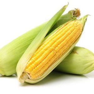 Maize