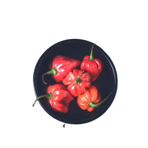 Scotch Bonnet / Hot Pepper
