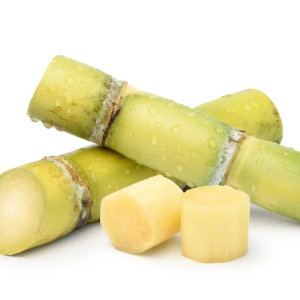 Sugar Cane
